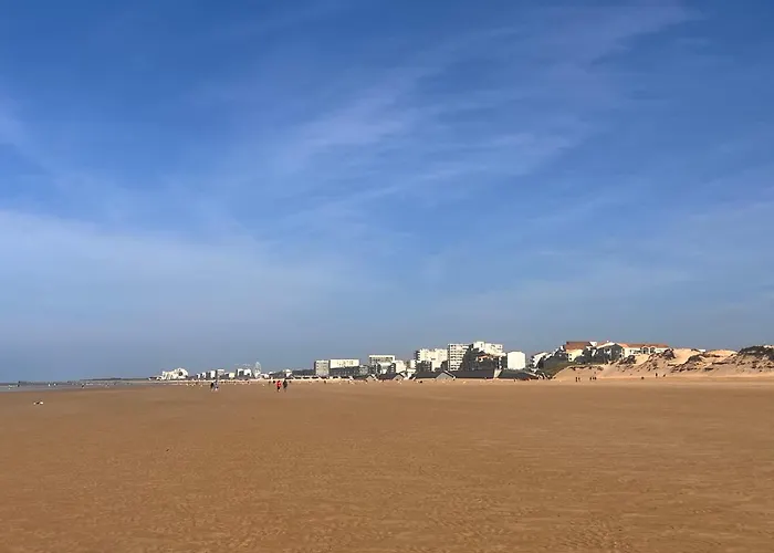 à 100 M De La Avec Parking Appartamento Saint-Hilaire-de-Riez