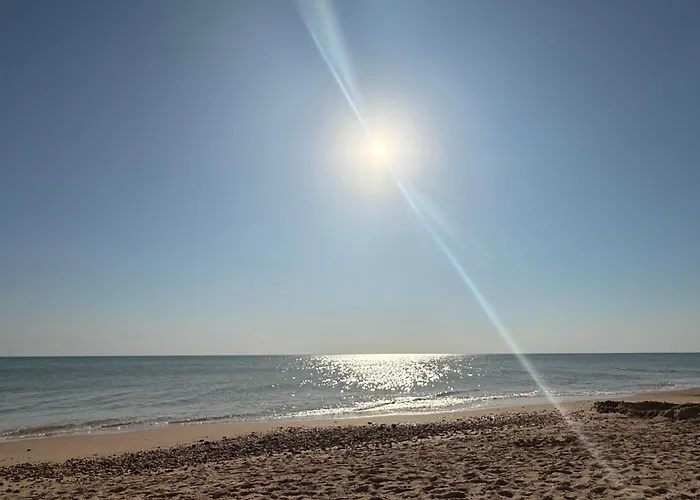 A 100 M De La Avec Parking *